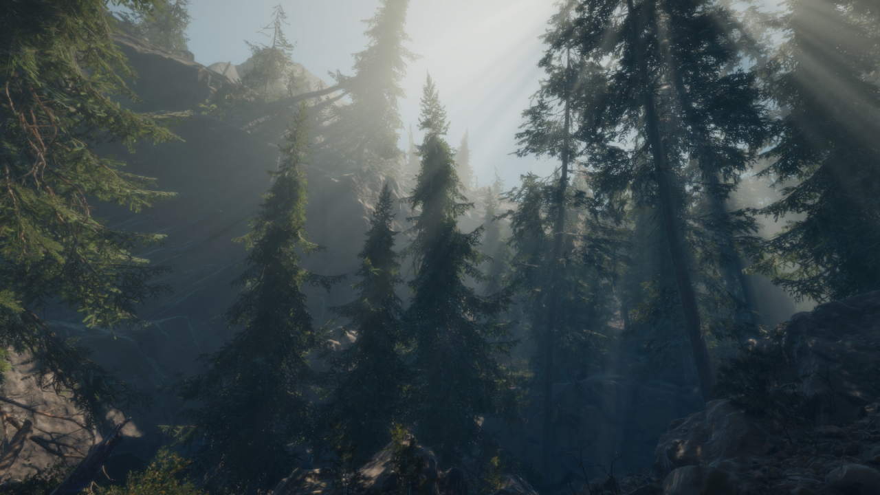 A Walk in the Woods screenshot 5